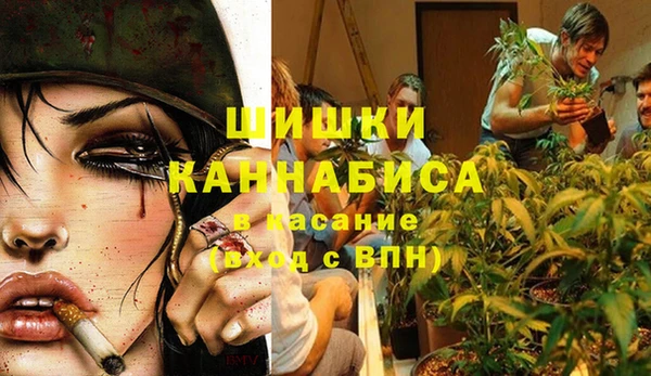 Альфа ПВП Мегион