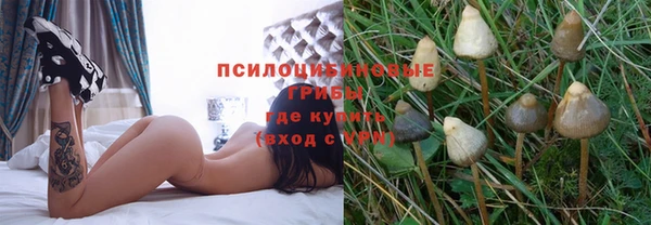 Альфа ПВП Мегион