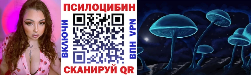 купить наркотик Аткарск Галлюциногенные грибы мицелий